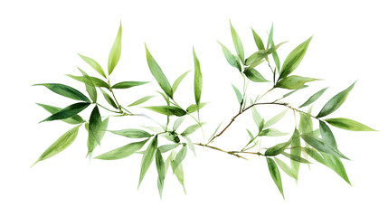 Fototapeta premium Lush green bamboo leaves arranged artistically, showcasing nature beauty