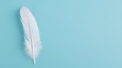 Floating Feather on Pastel Blue Minimal 3D