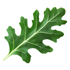 Fototapeta premium [Transparent Background PNG]Close-up Image of a Vibrant Green Leaf