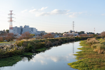 Fototapeta premium 大堀川沿いの土手散歩