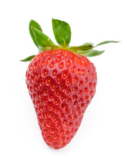 Fresh strawberry glistening with dew, ready to be picked from the garden on a sunny morning