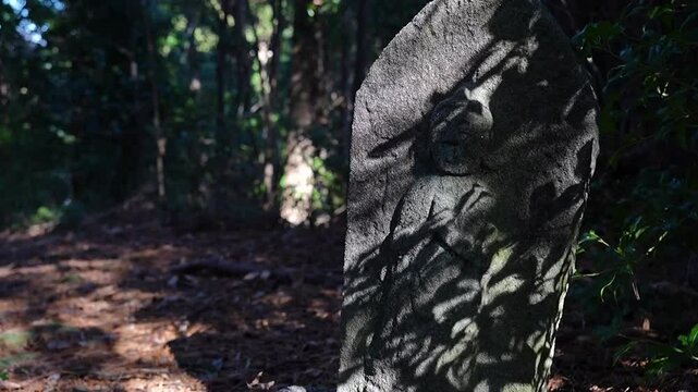 Nature: Asian stone statue, Jizo, Tree in the woods in Japan
