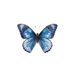 Blue Morpho Butterfly: A vibrant and captivating blue morpho butterfly with intricate markings, a symbol of transformation and beauty, isolated against a clean background.