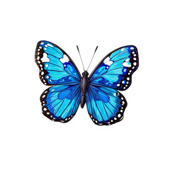 Azure Morpho Butterfly: A vibrant blue morpho butterfly with intricate wing details, showcasing its iridescent blue and black patterns in a stunning close-up.