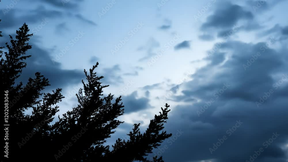 Poster Hyperlapse video showing clouds moving rapidly behind a silhouetted tree branch, isolated against the sky with a sharp clipping path, low key lighting creates a dramatic effect