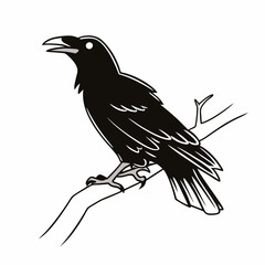 crow on a branch