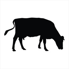 silhouette of a cow