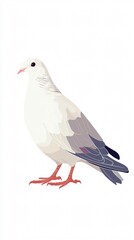 White Dove: A Symbol of Peace, Purity, and Hope. Minimalist Bird Illustration on White Background