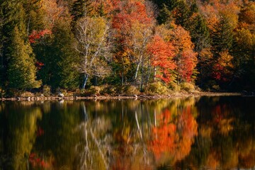 Autumn colors reflecting in Tupper Lake, in the Adirondack Mountains, New York