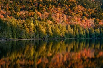 Autumn colors reflecting in Owen Pond in the Adirondack Mountains, New York