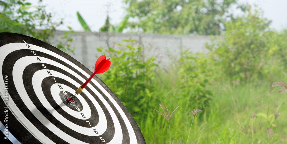 Poster dart on target with playing field background
