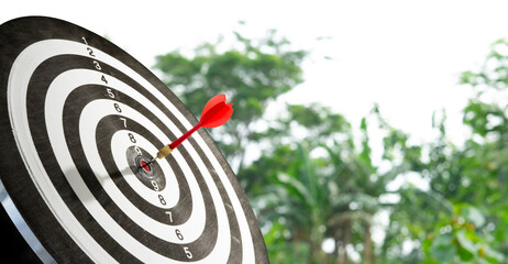 dart on target with green blur background