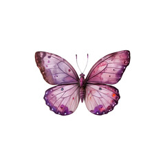 Fototapeta premium Purple Butterfly Watercolor: Delicate and intricate, a watercolor illustration of a purple butterfly, capturing its fragile beauty and intricate wing patterns in a soft, ethereal glow. 