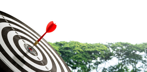 red dart with target on tree background for copy space