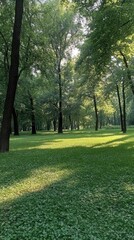 Fototapeta premium Sunny day brings people to a lush green lawn where they can relax, picnic, and take leisurely walks in nature's beauty