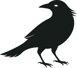 black bird silhouette