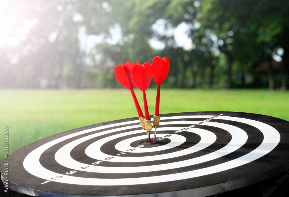 Poster three dart on target with field background