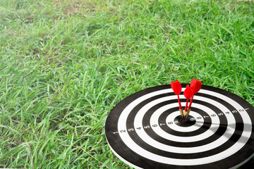 Three darts stuck in the target against the grass background 