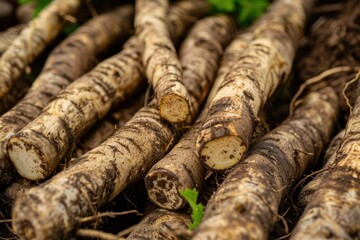 Vibrant Color Visual of CloseUp of Freshly Harvested Burdock Roots with Visible Details