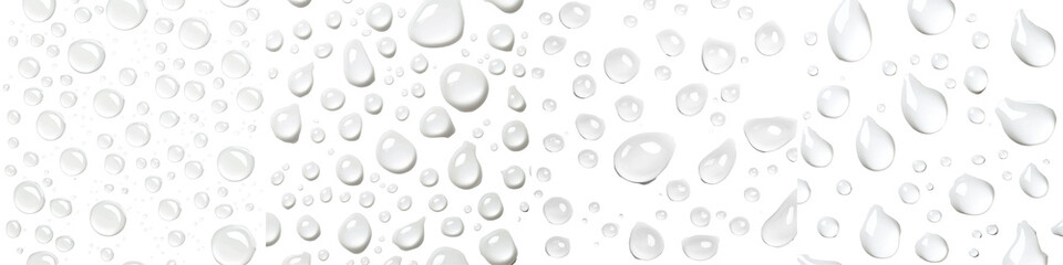 Background with Transparent Water Droplets on Black Surface