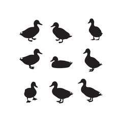 swan birds duck animals cartoon character icon set collection silhouette vector art flat design illustrations