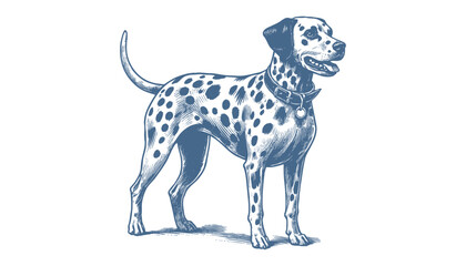 Dalmatian dog vector | dog vector | dog illustration | dog silhouette | dog tattoo | dog engraving | dog drawing 