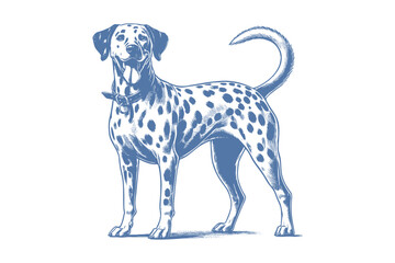 Dalmatian dog vector | dog vector | dog illustration | dog silhouette | dog tattoo | dog engraving | dog drawing 