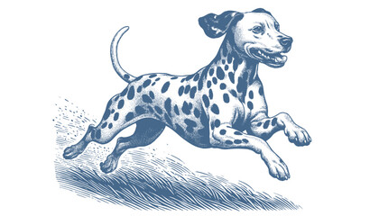 Dalmatian dog vector | dog vector | dog illustration | dog silhouette | dog tattoo | dog engraving | dog drawing 