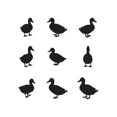 swan birds animals goose cartoon character icon set collection silhouette vector art flat design illustrations
