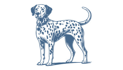 Dalmatian dog vector | dog vector | dog illustration | dog silhouette | dog tattoo | dog engraving | dog drawing 