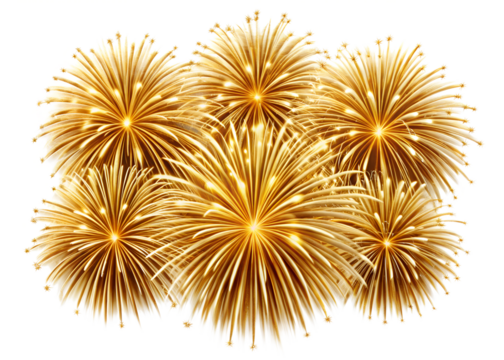 fireworks in the night sky