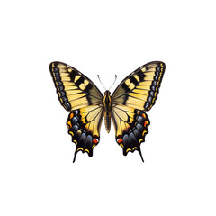 Fototapeta premium Swallowtail Butterfly: A stunning swallowtail butterfly with vibrant yellow, black, and red markings displays its delicate wings in a captivating close-up. 