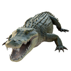 Obraz premium A digitally rendered image of a large crocodile with its mouth open showcasing its sharp teeth and detailed scaly skin against a white background.