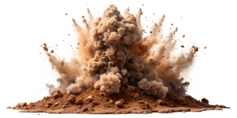 sea shell on white background