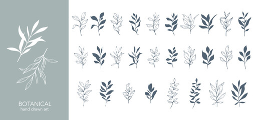 Greenery Line Art. Botanical Background trendy minimalist leaves and branches. Hand drawn floral elements. Floral Line Art Illustration. Luxury Line Floral Art.