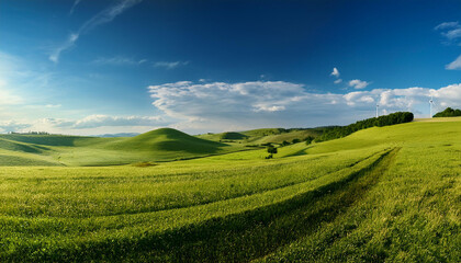 Fototapeta premium sunny countryside landscape with green grass and blue sky