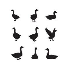 swan birds animals goose cartoon character icon set collection silhouette vector art flat design illustrations