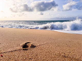 A single footprint on a sandy beach with gentle ocean waves in the background, capturing a tranquil seaside moment.