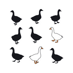 swan birds duck animals cartoon character icon set collection silhouette vector art flat design illustrations