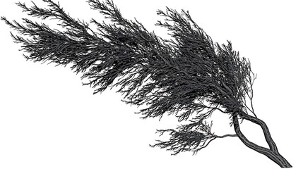 Obraz premium A windswept tree with dramatic leaning branches and sparse foliage, isolated on a solid white background