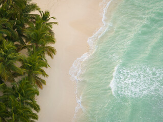 Dominican Republic, Top view of dominicus beach at morning, Caribbean sea with waves, palm tree and beautiful sandy beach,Bayahibe.