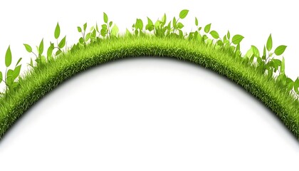 Naklejka premium A graceful weeping willow with lush green leaves and sweeping branches, centered on a clean white backdrop