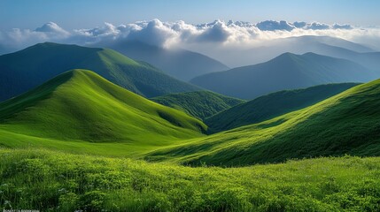 Obraz premium Sunlit Green Mountain Valley Landscape