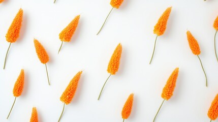 Fototapeta premium Orange flower buds arranged on a white background with ample Copy Space for text placement.