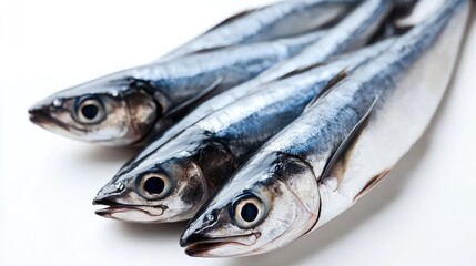 Obraz premium Fresh sardines lined up against a white background with Copy Space for text placement.