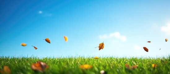 Autumn leaves falling over a grassy field under a clear blue sky with copy space for text
