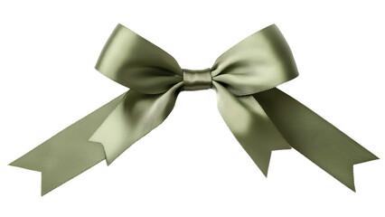 Fototapeta premium Elegant green ribbon bow with long tails for decoration