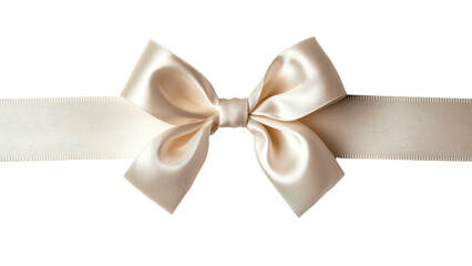 Elegant satin ribbon bow on smooth ribbon, perfect for gifts