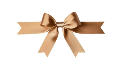 Fototapeta premium Elegant satin ribbon bow in beige color with long tails