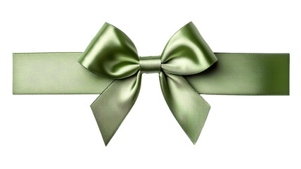 Elegant green satin ribbon bow with tails for decoration